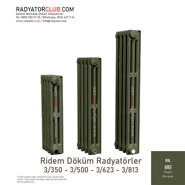 Ridem Dokum radyator 3-813 Ral 6003 Kolon 6